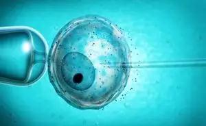 助孕包生男孩服务